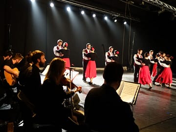 Polliki Taldea - Zortzigarren Probintzia - DCI event