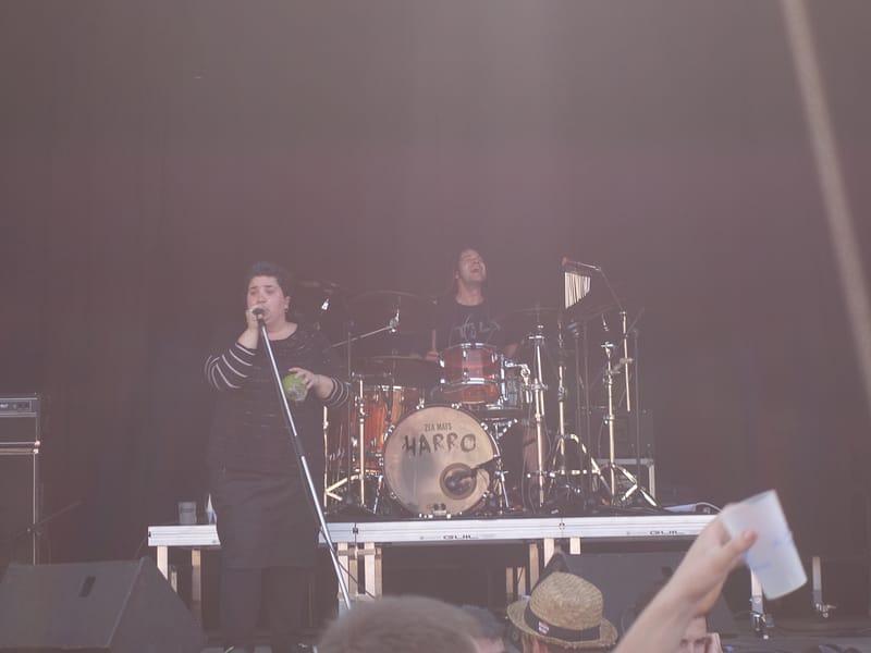 Zea Mays Nafarroa - Herri Urrats 2017 - DCI event