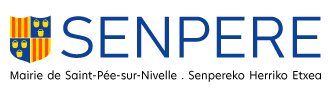 logo ville saint pee sur nivelle sonorisation eclairage evenement soirée dci event
